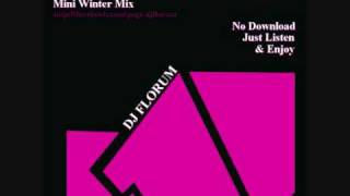 DJ FLORUM  WINTER MIX 2009 ELECTRO HOUSE [upl. by Leynad]