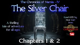 The Chronicles of Narnia  Book 4  The Silver Chair  Chapters 1 amp 2  LIVE reading by Huw Carr [upl. by Adla305]