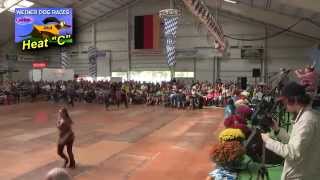 2014 Frankenmuth Oktoberfest Wiener Dog Races  The Heats amp Finals [upl. by Inig518]