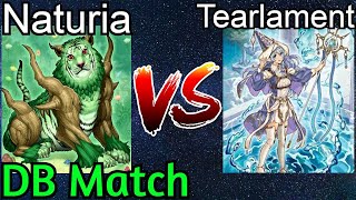 Naturia Ishizu Vs Tearlament Adventure New Format YuGiOh 2022 [upl. by Enelyaj]