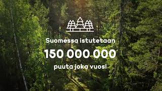 Metsien Suomi – faktoja metsästä osa 2 [upl. by Teage723]