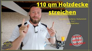 Holzdecke schnell streichenlackieren mit 3 in 1 und TEMPSPRAY [upl. by Luaped]