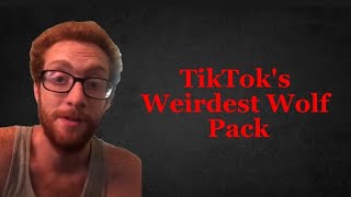 TikToks Weirdest Wolf Pack Is Scary  Wolfpack Elite [upl. by Sezen]