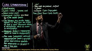 Class Gymnospermae  11TH BIOLOGY  CHP 9  LECTURE 16 [upl. by Edwards]