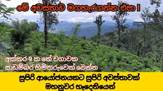 මහනුවර හෑදෙනියෙන් ආයෝජනයට සුපිරි තේ ඉඩමක්  Tea Land for sale in Kandy Sri Lanka  Kandy Property [upl. by Nelyk]