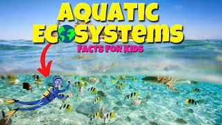 Top Facts About AQUATIC Ecosystems 🐟 🐋 Educational Lessons for Kids [upl. by Moises575]