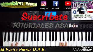 Tutorial El Pasito Perron  Tutoriales Asam [upl. by Nadnerb]