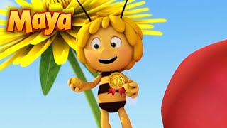 MAYA participa en un CONCURSO de TALENTOS 🏆🐝💚 MEJORES CAPÍTULOS DE MAYA para niños en ESPAÑOL 🐝 [upl. by Bertram]