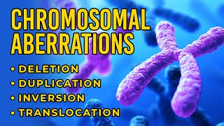 Chromosomal Aberrations  Deletion  Duplication  Inversion  Translocation [upl. by Eydnarb]