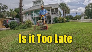 Late Season Lawn Renovation  When is Too Late [upl. by Loesceke]