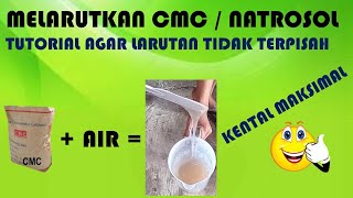 CARA MELARUTKAN CMC  NATROSOL AGAR TIDAK TERPISAH DARI AIR [upl. by Keeryt807]