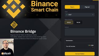 Binance Bridge e Binance Smart Chain  Come Evitare Errori per NoN Perdere le nostre Criptovalute [upl. by Gainor836]