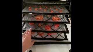 Dehydrating My Garden TomatoesResults [upl. by Alla497]