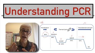 Understanding PCR [upl. by Derinna]