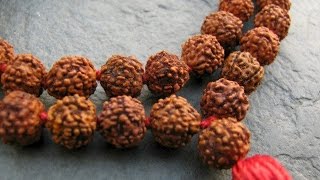 Rudraksha Mantra  Mantra Chanting Using Rudraksha Beads  Japa For Mental Peace [upl. by Cartan560]