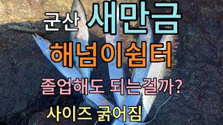 20241103 새만금 해넘이쉼터 삼치낚시풀치낚시갈치낚시루어낚시 [upl. by Luis]