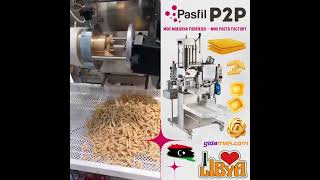 P2P Makarna Erişte Lazanya Ravioli Makinesi  Pasta Lasagna Tagliatelle Ravioli Machine [upl. by Lorrimor476]