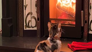 PEVEX Convector 40 Inset Stove 45kw Multi Fuel  Natural Heating Review [upl. by Aehr450]