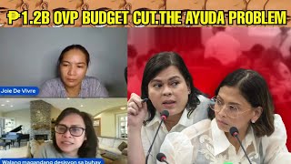 ₱12B BUDGET CUT sa OVP budget ni Sara Duterte  AYUDA PROGRAMS at mga iyakin DDS VLOGGERS [upl. by Haliek94]