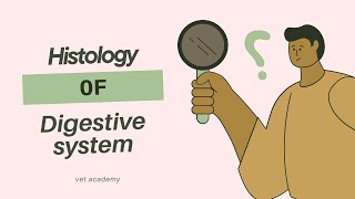 Histology of extrinsic glands of digestive system  pancreas  liver amp salivary glands [upl. by Ykcor509]