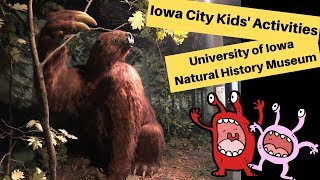 Things To Do In Iowa City  University of Iowa Natural History Museum [upl. by Bikales]