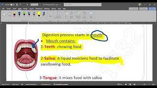 Science Grade 4 First term Concept 1 1 Lesson 3 [upl. by Eussoj]