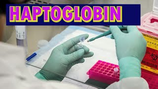 HAPTOGLOBIN [upl. by Alaek552]