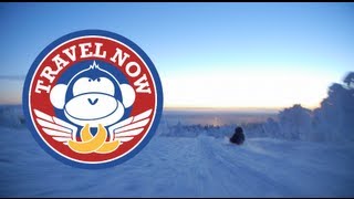 Longest toboggan ride in Finland  Northern Lights Finland Trip [upl. by Enajharas229]