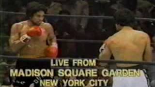 Roberto Duran vs Carlos Palomino Round 2mp4 [upl. by Frederico]