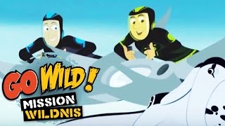 Go Wild Mission Wildnis  Die Tauschbörse der Einsiedlerkrebse  Folge 22 [upl. by Rodrick]