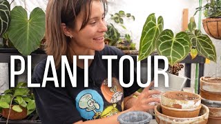 A tour of my plants [upl. by Van]