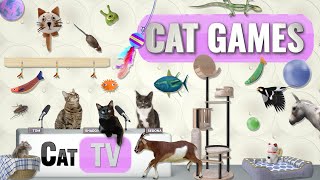 CAT Games  Ultimate Cat TV Compilation Vol 61  2 HOURS 🐝🐞🦋🦎🦜🐜🐭🧵 [upl. by Alita754]