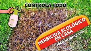 Cómo Preparar Un HERBICIDA CASERO NATURAL 100 ECOLÓGICO  Herbicida Orgánico [upl. by Maretz]