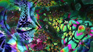 An Interdimensional Journey  Psychedelic Fractal Visuals for Deeper Understanding  New 2022 [upl. by Bobseine]