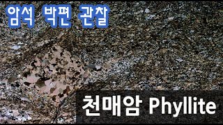 암석 천매암 박편 관찰하기 Phyllite thin section [upl. by Ailedroc]