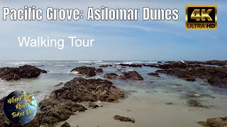 4K Pacific Grove California Asilomar Dunes Walking Tour to the Ocean  WITH CAPTIONS [upl. by Bianka]