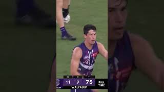 Fremantle Collingwood 2024 DRAW Theme Song afl collingwood fremantle draw [upl. by Klemm]