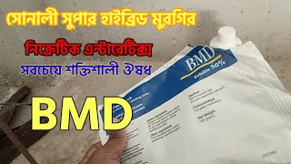 BMD vs newcomycin lincomycin সোনালী সুপার হাইব্রিড মুরগির নিক্রটিক এন্টারেটিক্স এর ঔষধ বি এম ডি ৫০ [upl. by Ileek706]