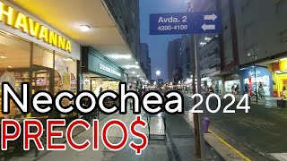 Precios NECOCHEA  Cuanto traer para Gastar Vacaciones 2024 recorriendo [upl. by Yorke]