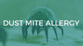 Dust Mite Allergy Symptoms and Treatments [upl. by Eahsel894]