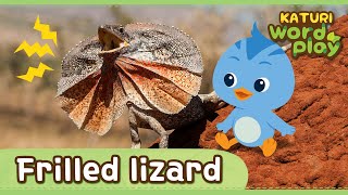 Frilled Lizard   Katuri Word Play  Learn Animals  Animals for kids to learn [upl. by Ainniz987]