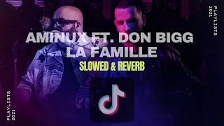 Aminux ft Don Bigg  La Famille  Slowed amp Reverb [upl. by Nedrah304]