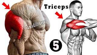 Top 5 Effective Triceps Workout At Gym Triceps Workout [upl. by Anirav741]