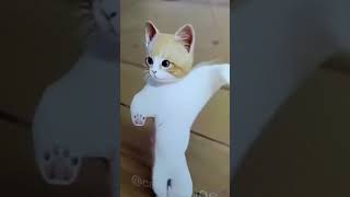 O Bekhabar O Bekhabar shorta billi lovesong funny shortvideos cutebaby trending comedy [upl. by Cowie]