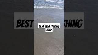 Catching Best Surf Fishing Bait [upl. by Thorny]