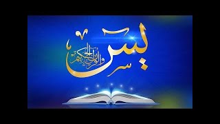 Surah Yasin with Urdu translation beautiful reciting surah Yasin yaseen islamic Live Stream [upl. by Alaikim]