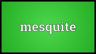 Mesquite Meaning [upl. by Elyn]