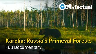 Karelia Russias Primeval Forests  Nature Documentary [upl. by Busch]