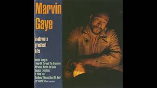 Marvin Gaye With Tammi Terrell  The Onion Song [upl. by Anahoj]