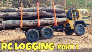 RC MAN LOGGING TRUCK made of WPL amp JJRC  PART 1  RC BUILD amp TEST  RC WITH POPEYE [upl. by Nosreh]